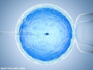 拉拉供卵代孕中心